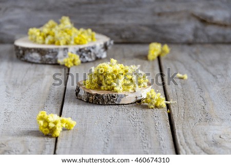 Helichrysum luteoalbum (herbs) on a wooden background. Selective focus
