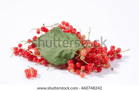 red currants on a white background