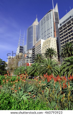Sydney City skyline with gardens in foreground, Australia