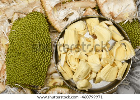 Raw and young jack/jak fruit cut open, Kerala India. the Thai tropical food. Jack-fruit peel a small button consecutive green pattern with thorns