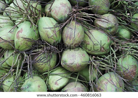 close up a group of green coconut fruit,nature color picture style,texture of coconut,coconut background