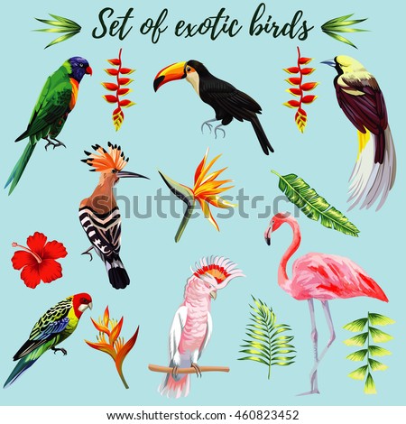 Realistic collection of beautiful exotic tropical birds vector macaw, parrot, pink flamingo, toucan, udot, hoopoe. On a blue background with leaves of palm banana, Strelitzia, hibiscus flower.