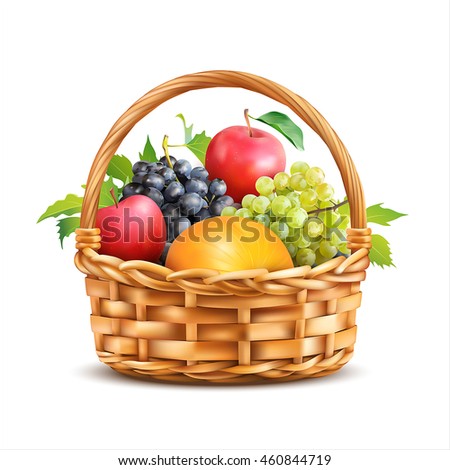 Basket with fruits isolated on white. Vector illustration. Royalty-Free Stock Photo #460844719