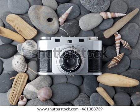Retro camera with seashells on stone background. Top view