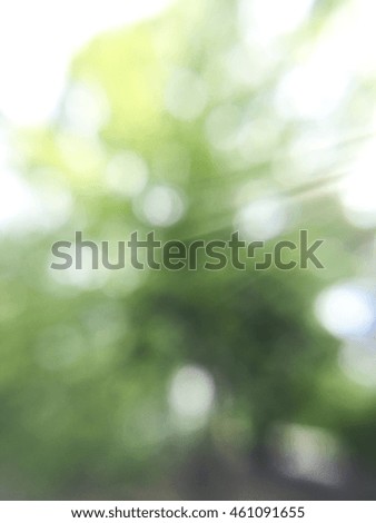 out of focus blurry nature background