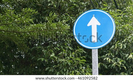 The Straight Only traffic sign in blue color with the big green tree background