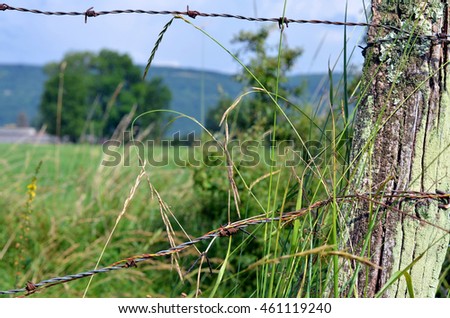 view through barbwire at meadow in summertime