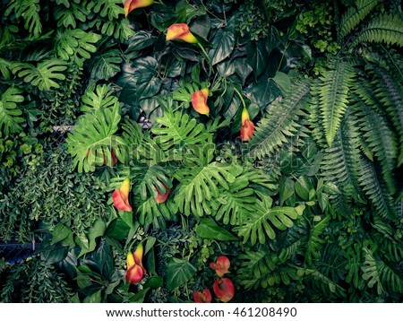 Fashionable green jungle summer background - in exotic vintage tone