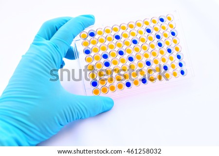 Enzyme-linked immunosorbent assay (ELISA) plate, Immunology testing method in laboratory


 Royalty-Free Stock Photo #461258032