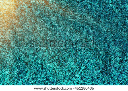 lawn blue texture with sun light in the corner closeup photo