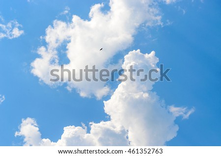 Eagle under the clouds.
