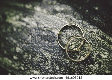closeup of wedding rings on a pumpkin