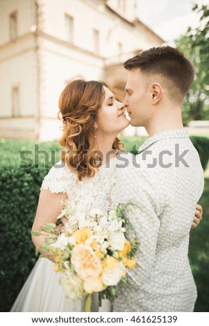 Beautiful romantic wedding couple of newlyweds hugging near old castle