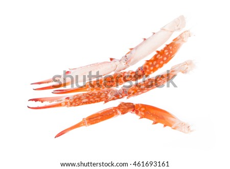 Closeup of claw crab isolated on white background
