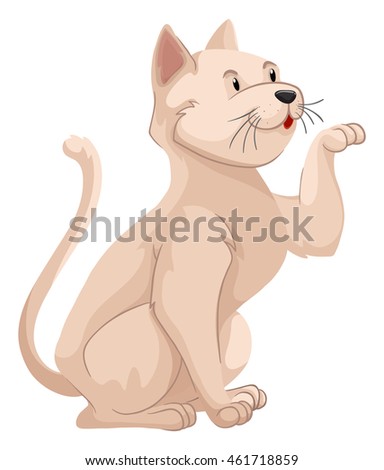 Little cat with white fur illustration