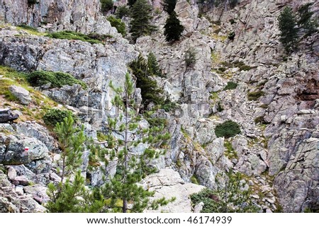 puzzle: can you find all 5 mountain goats on the photograph?