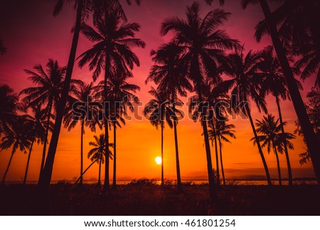 Silhouette coconut palm trees on beach at sunset. Vintage tone. Royalty-Free Stock Photo #461801254