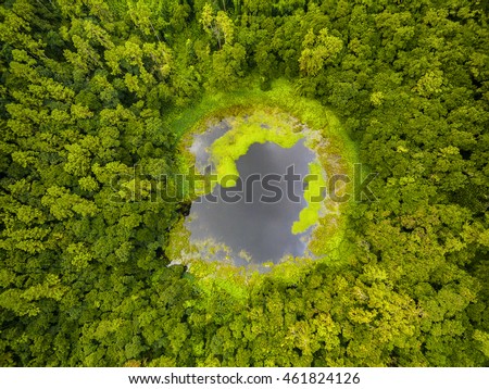 Aerial top view perspective of Trou Aux Cerf Volcano Curipipe in the tropical island jungle of Mauritius Royalty-Free Stock Photo #461824126