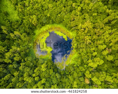 Aerial top view perspective of Trou Aux Cerf Volcano Curipipe in the tropical island jungle of Mauritius Royalty-Free Stock Photo #461824258