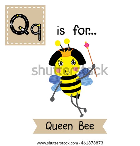 Cute children zoo alphabet Q letter tracing of happy Queen Bee holding scepter for kids learning English vocabulary.  