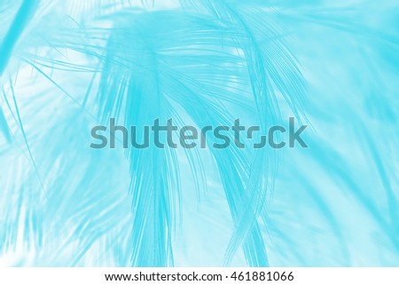 green turquoise color trends feather texture background