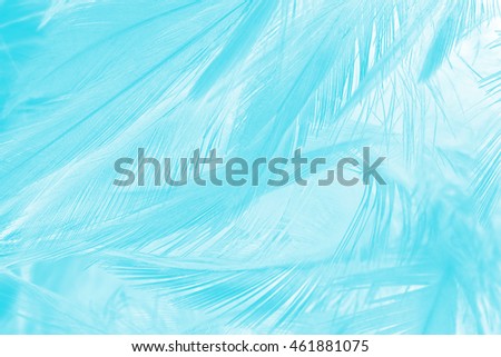 green turquoise color trends feather texture background