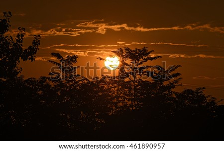 Beautiful sunset seen from forest