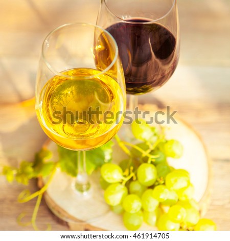 Green grapes and two glasses of the white and red wine on the vineyard background, close up