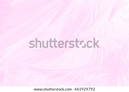 soft pink color trends feather texture background