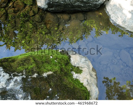 Mountain river flowing among mossy stones in the forest. Cascade waterfalls. Georgia, Caucasus