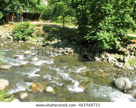 Mountain river flowing among mossy stones in the forest. Cascade waterfalls. Georgia, Caucasus