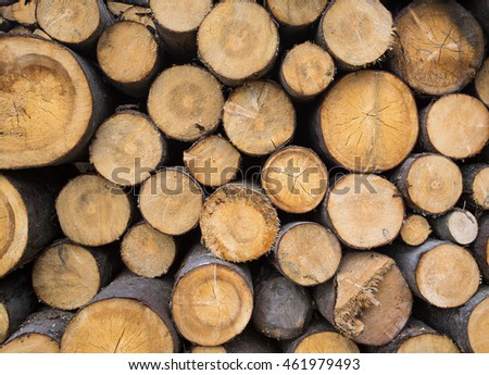 background made of lot of wooden logs 
