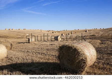  Agricultural field on which the harvesting of  wheat.