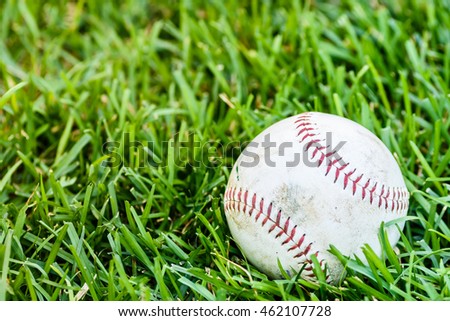 Close up baseball on the green grass background/Selective focus