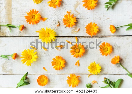 pattern of calendula flowers on the table