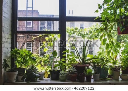 Indoor Garden in Brooklyn, NY Royalty-Free Stock Photo #462209122