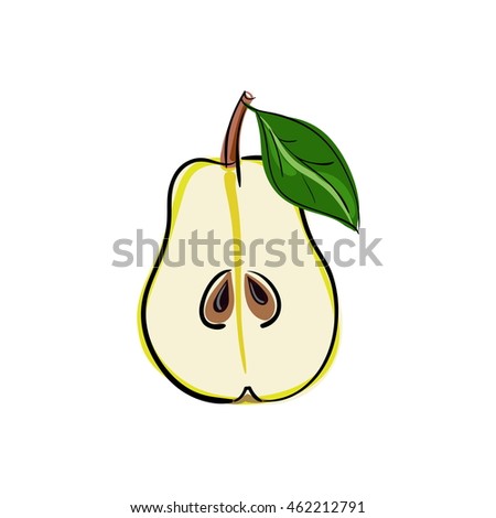Pear fruit stock vector illustration. Green pear -  cut half with seeds. Vector illustration