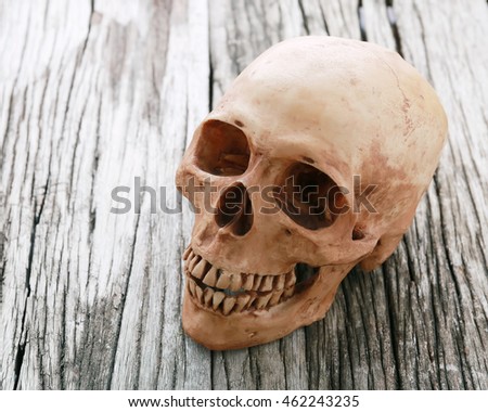 Human skull on wooden table with copy space.