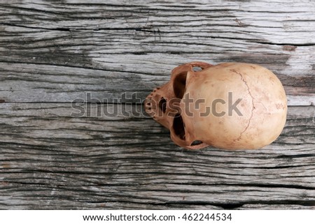 Human skull on wooden table with copy space .View from the top.