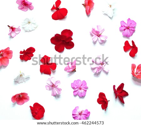 scattered multicolored flowers on white Royalty-Free Stock Photo #462244573