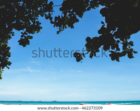 Silhouette leaves of the tree frame and sea background.