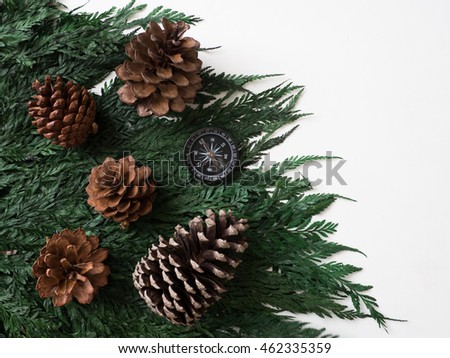 compass and pine cones on green leaf background  travel journey backpacker