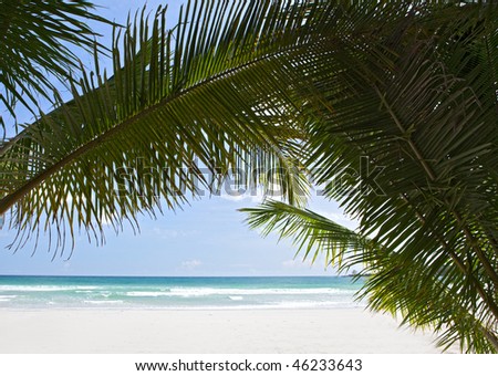 Palm trees leaves on sea background over the sand.