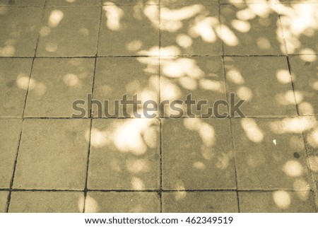 shadow of tree on raw grey concrete wall texture