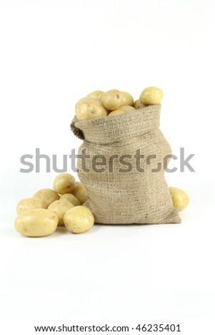 On pile and in burlap bag fresh mini white potatoes - vertical orientation. Still life picture.