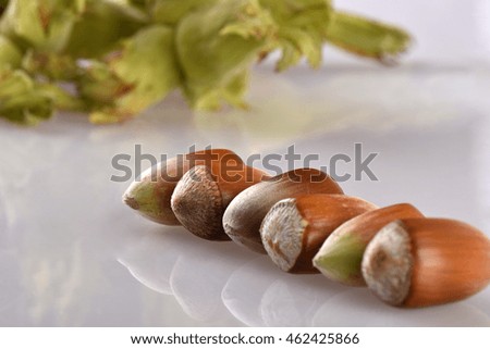 Raw hazelnuts on a green hazelnut leaf