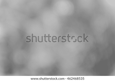 Gray black white bokeh out of focus background from nature forest