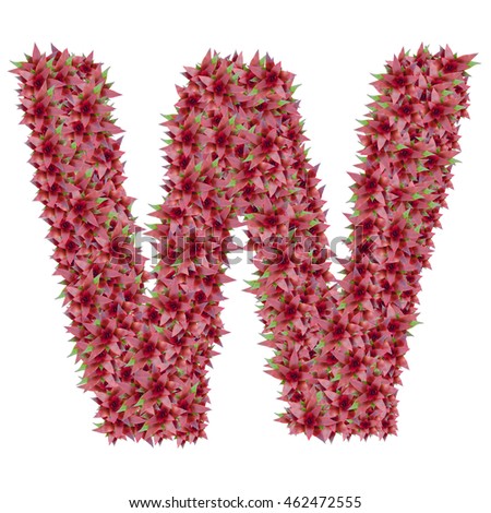 letter W made from bromeliad flowers isolated on white background