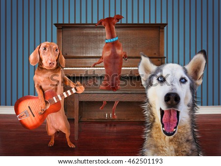a trio of dogs singing in front of a piano good for greeting cards 