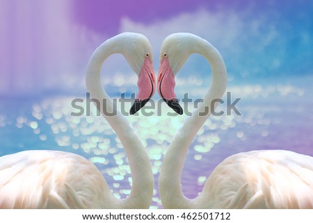 flamingos making a heart shape